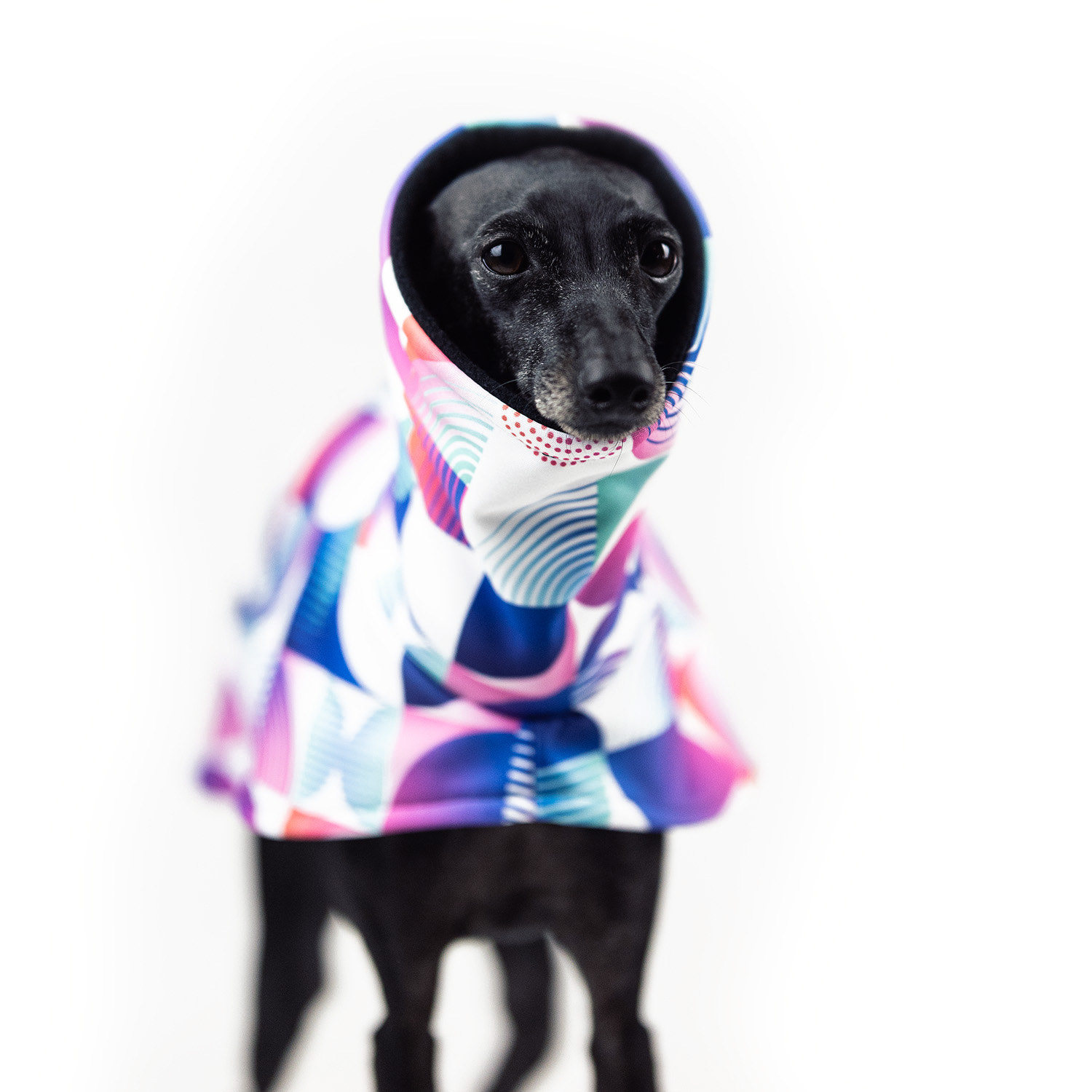 Italian greyhound NEO BAUHAUS Softshell® jacket - Wear.Chartbeat image 2