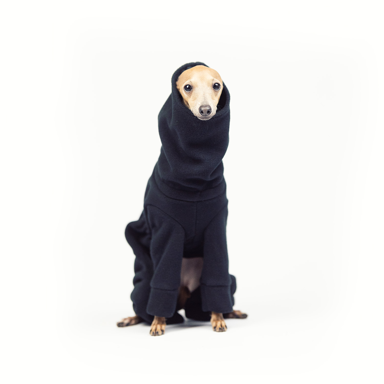 Jumpsuit for italian greyhound BLACK FLEECE - Wear.Chartbeat image 2
