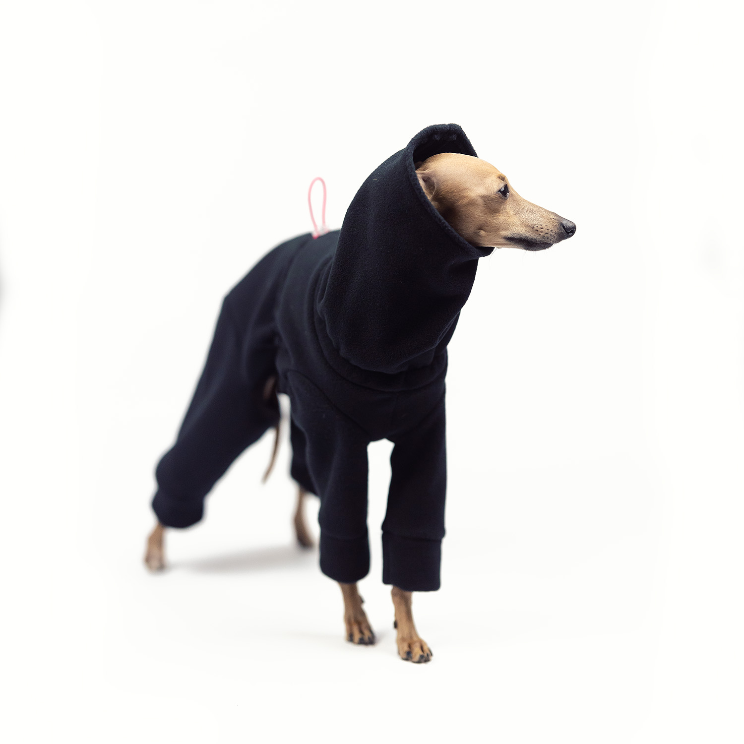 Jumpsuit for italian greyhound BLACK FLEECE - Wear.Chartbeat image 4