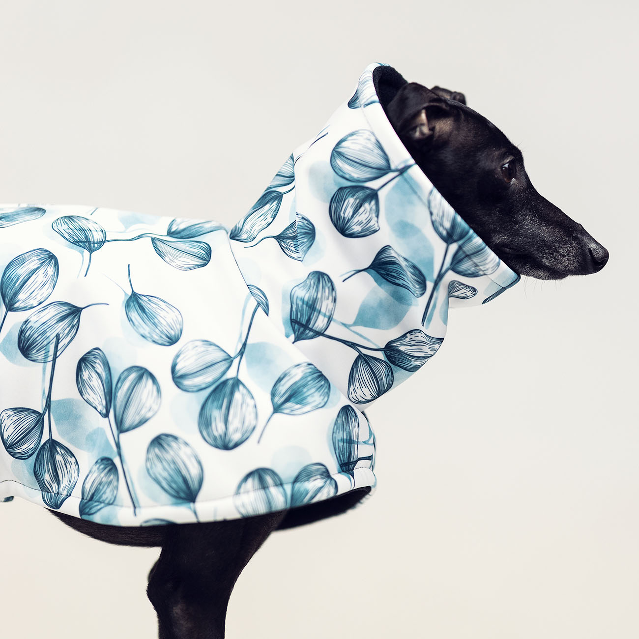 Italian greyhound PETALS Softshell® jacket - Wear.Chartbeat image 3