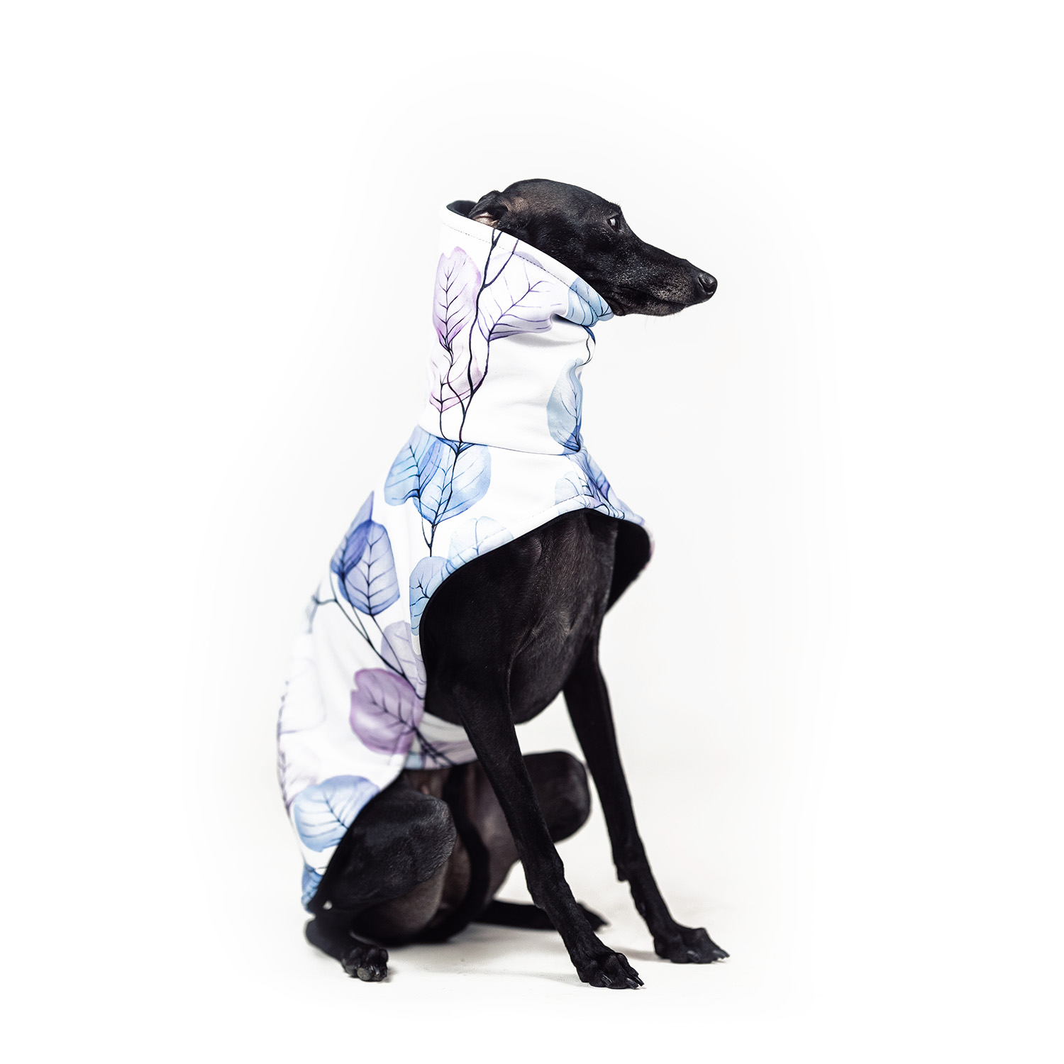 Italian greyhound PETAL MOOD Softshell® jacket - Wear.Chartbeat image 2