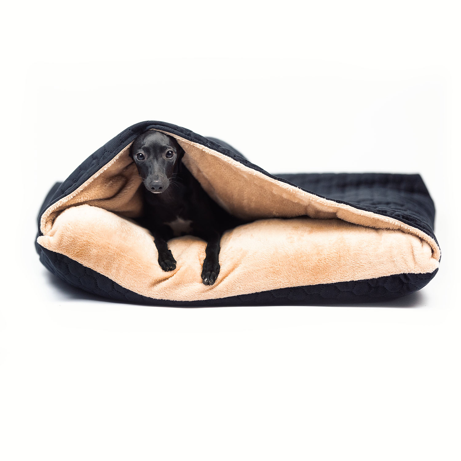 Iitalian greyhound bed Black Caramel Soft - Sangue Azzurro image 1