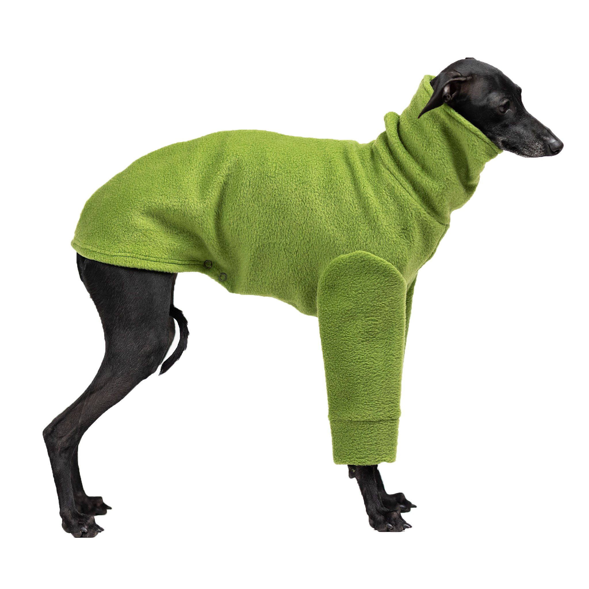 Italian greyhound clothing OLIVE FLEECE REVOLUTION - Wear.Chartbeat image 2
