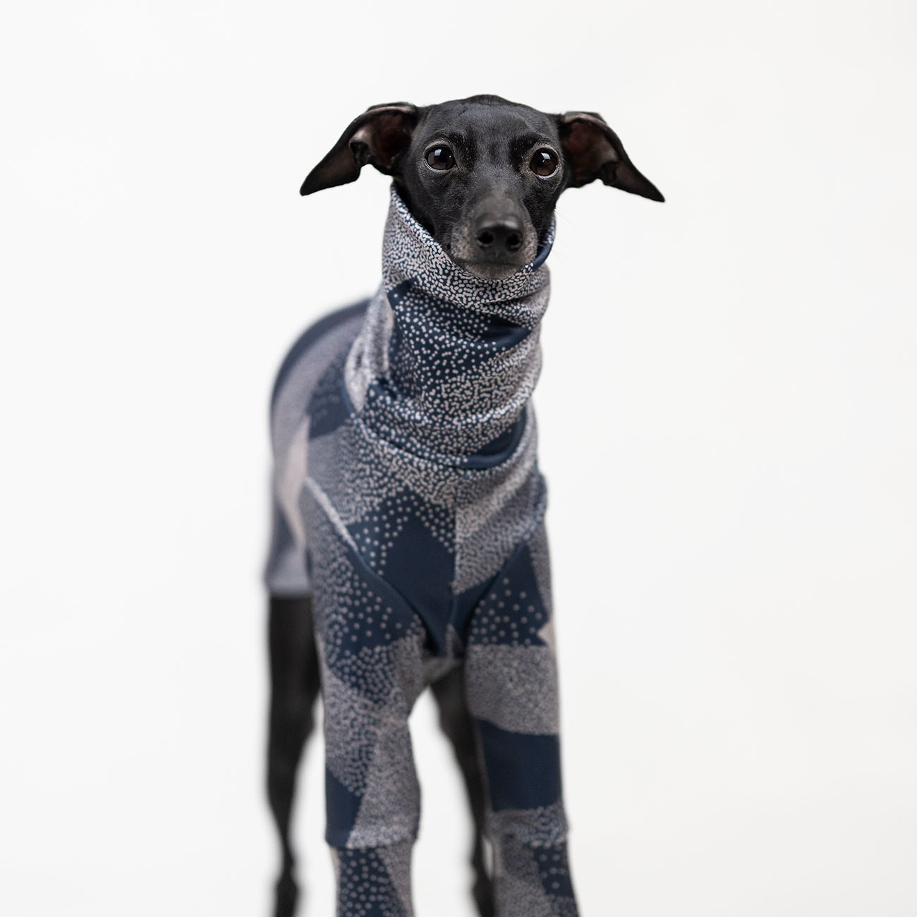 Italian greyhound clothing GREY TRIANGLE blouse - Wear.Chartbeat image 3