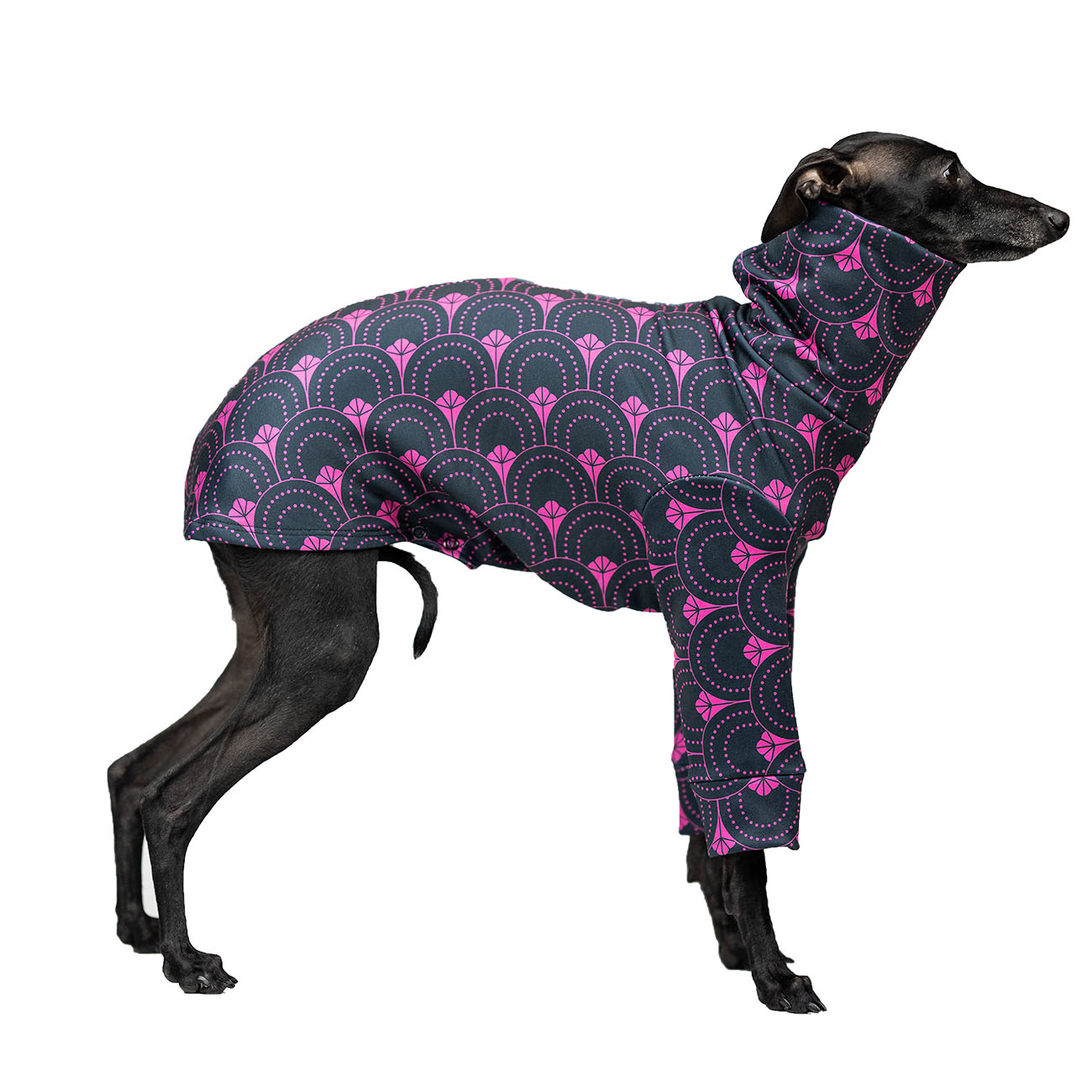 Italian greyhound clothing PINK GATSBY - Wear.Chartbeat image 2
