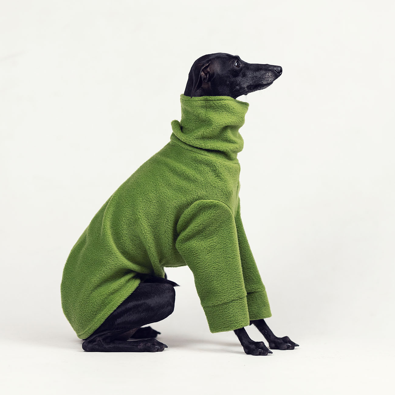 Italian greyhound clothing OLIVE FLEECE REVOLUTION - Wear.Chartbeat image 3