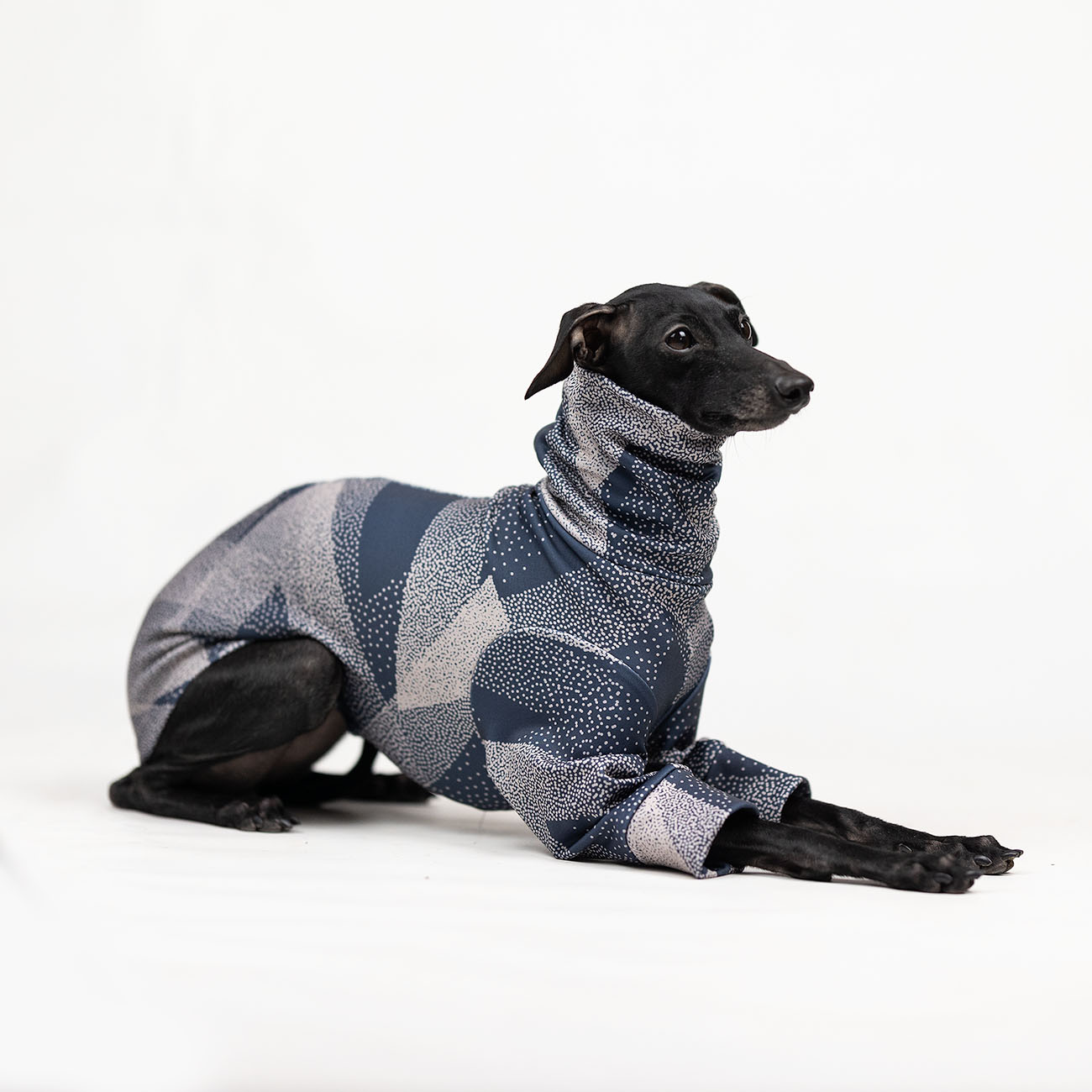 Italian greyhound clothing GREY TRIANGLE blouse - Wear.Chartbeat image 4