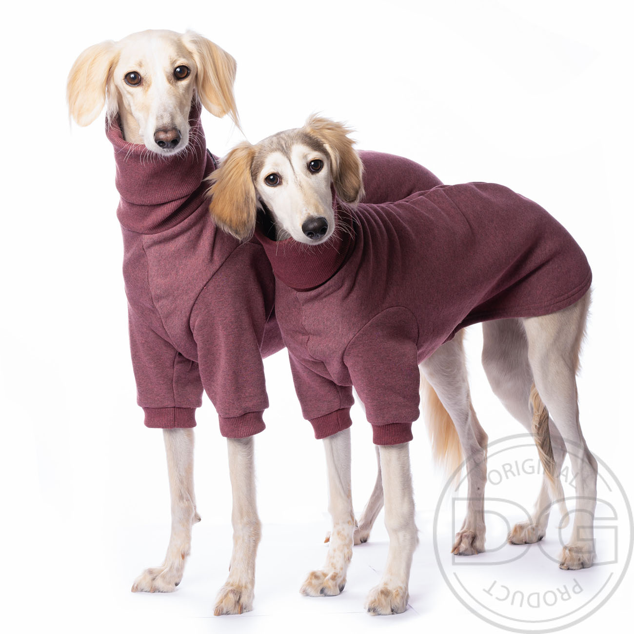 Italian greyhound blouse DG DogGear BASIC WINTER SWEATSHIRT - DGDogGear image 2
