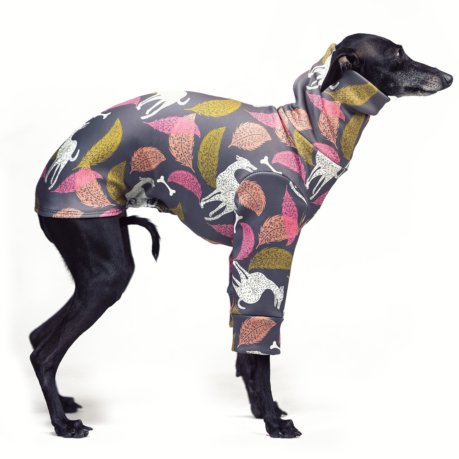 Italian greyhound clothing GOLDEN HOUND Stretchmax® blouse - Wear.Chartbeat image 1
