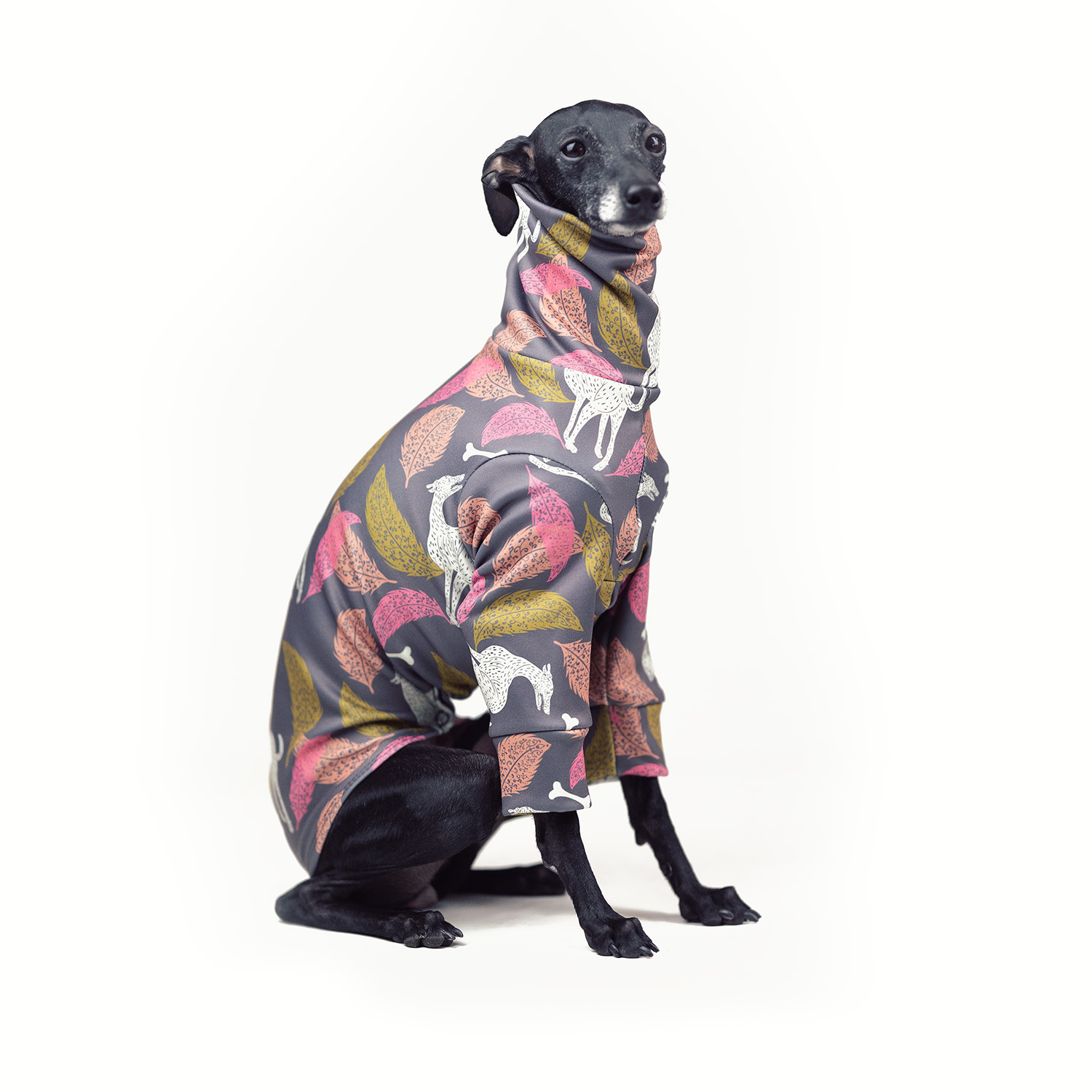 Italian greyhound clothing GOLDEN HOUND Stretchmax® blouse - Wear.Chartbeat image 4