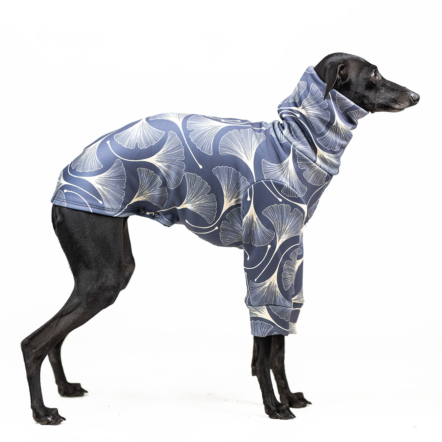 Italian greyhound clothing ELEGANT HERB Stretchmax® blouse - Wear.Chartbeat image 1