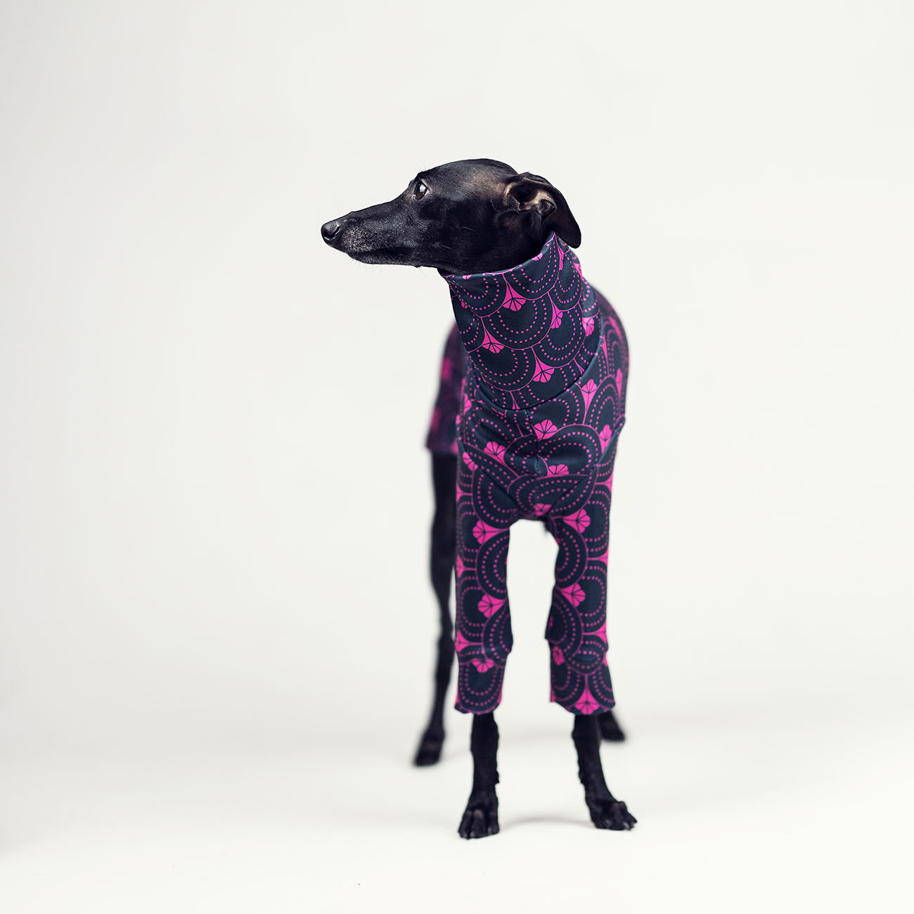 Italian greyhound clothing PINK GATSBY - Wear.Chartbeat image 3
