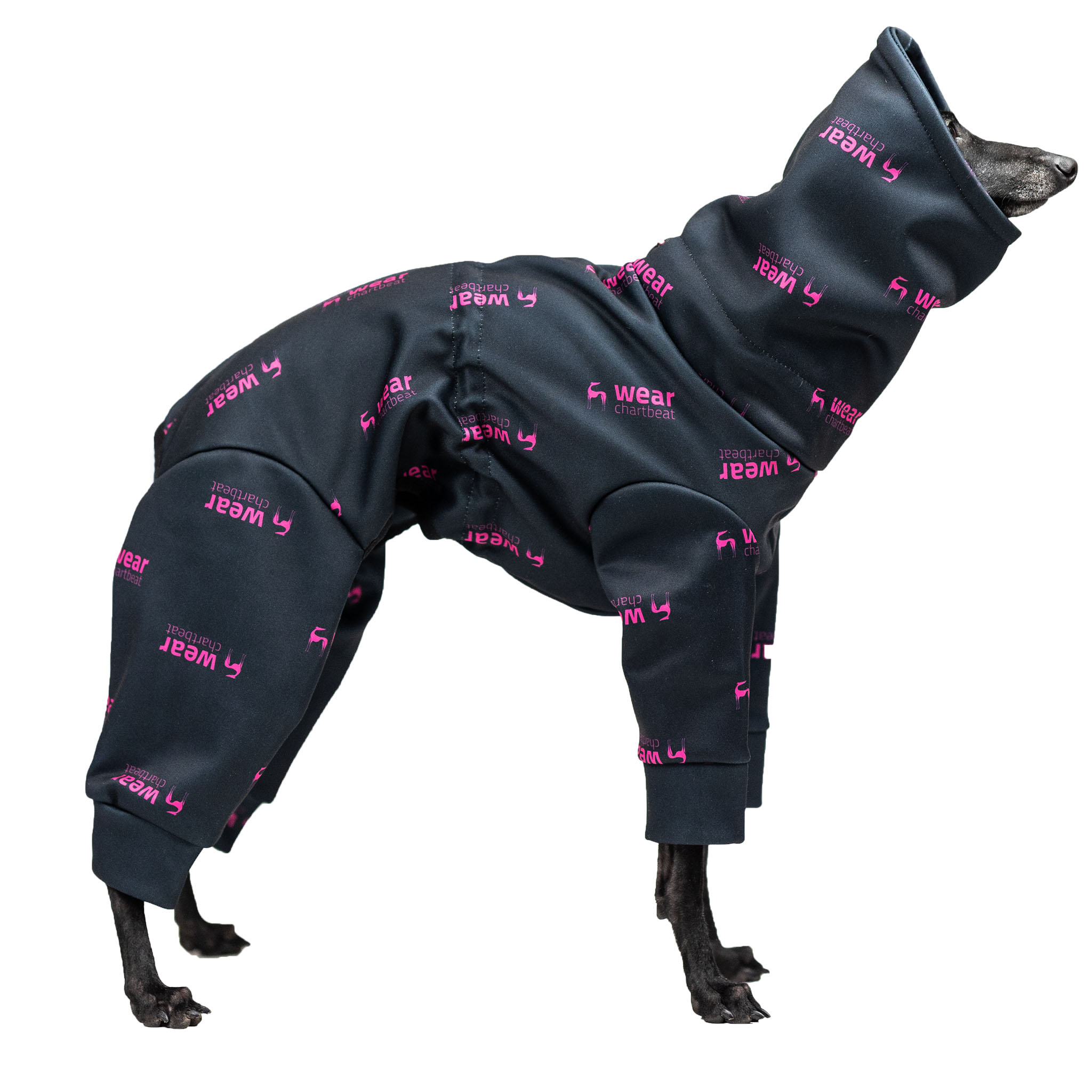 Jumpsuit for italian greyhound CHARTBICIAGA Softshell® - Wear.Chartbeat image 2