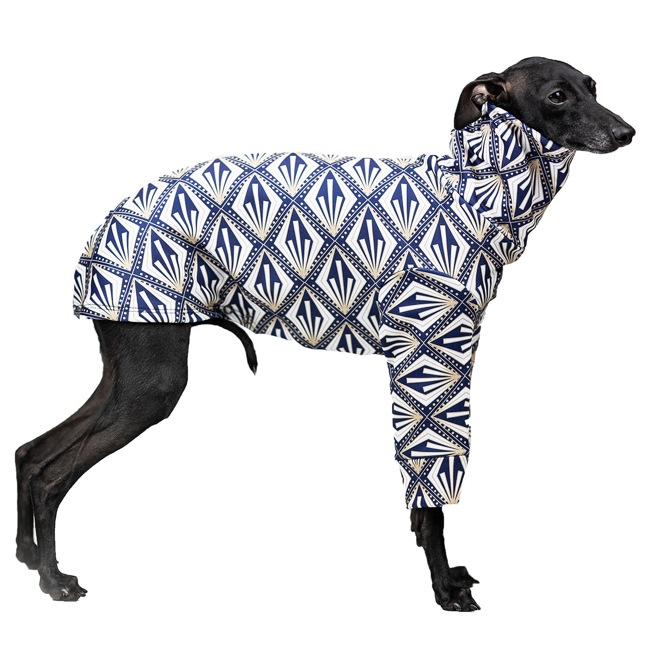 Italian greyhound clothing JUST DIAMOND - Wear.Chartbeat image 2