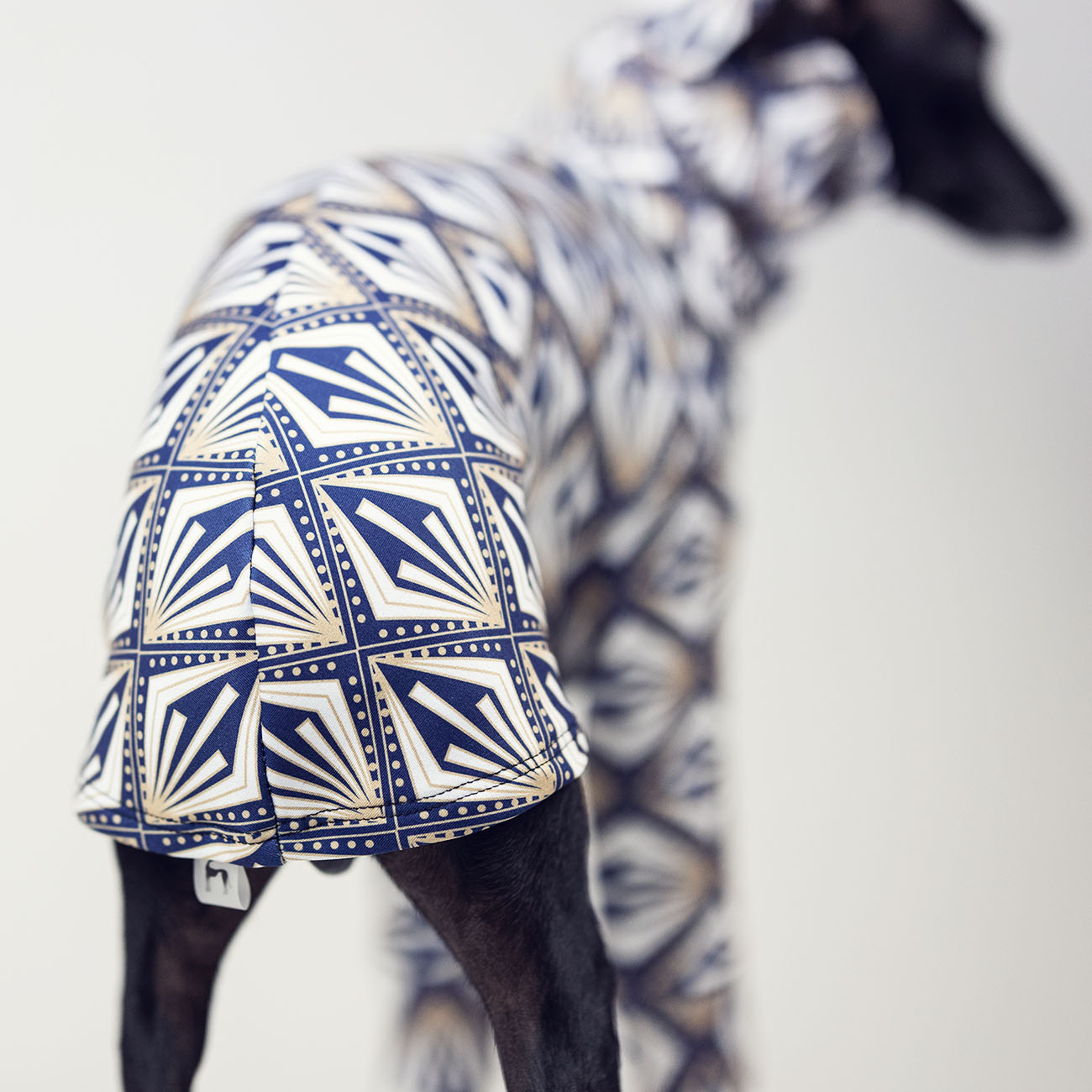 Italian greyhound clothing JUST DIAMOND - Wear.Chartbeat image 4