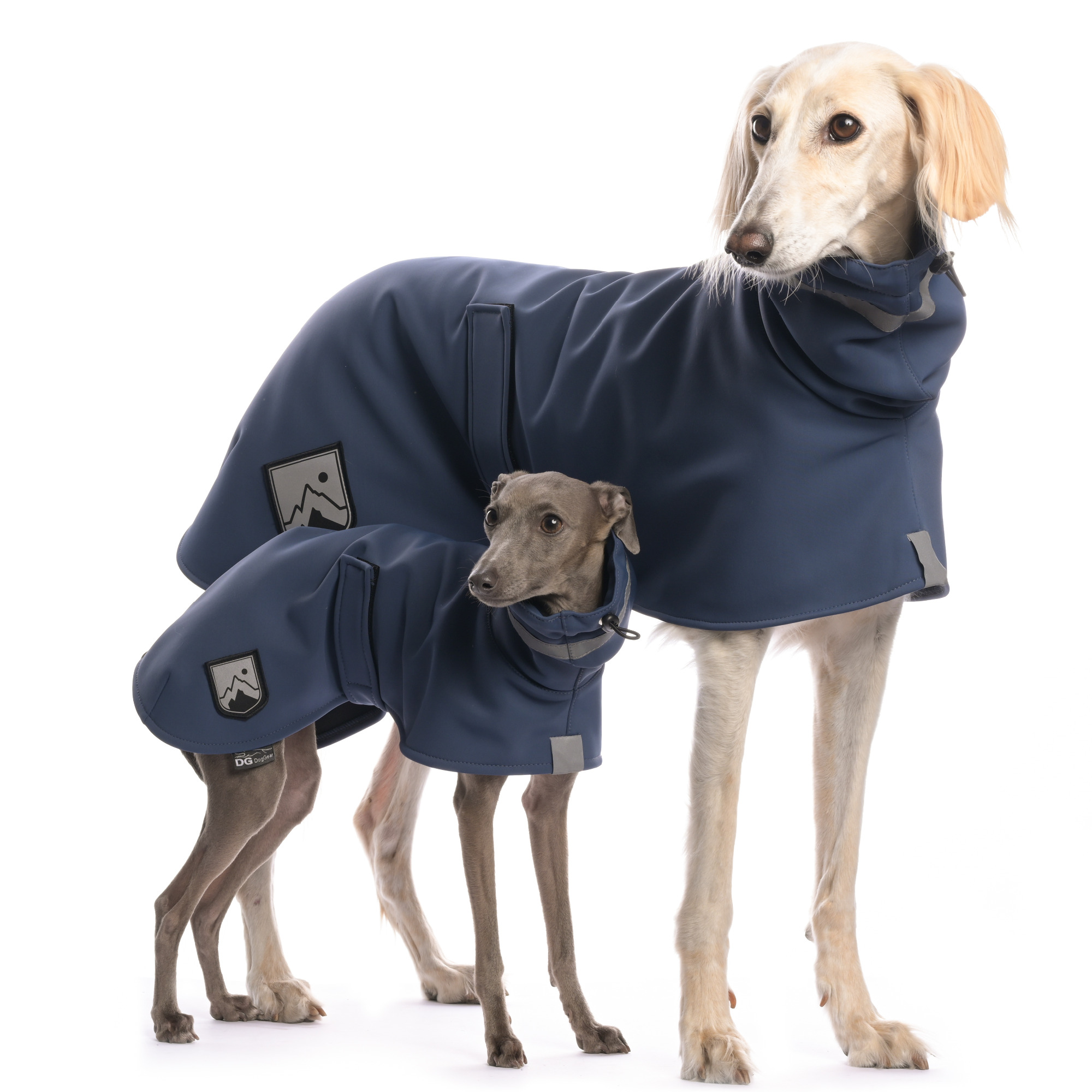 Italian greyhound clothing - DG OUTDOOR RAINCOAT PLUS  jacket - DG image 2