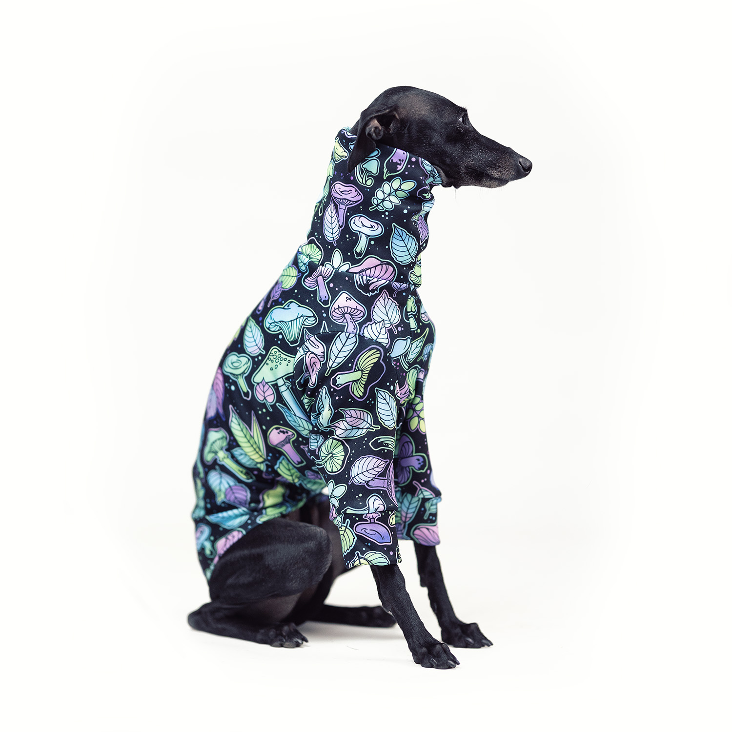 Italian greyhound clothing PSILOCYBIN Stretchmax® blouse - Wear.Chartbeat image 3