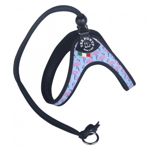 Harnesses for italian greyhound puppy - TRE PONTI image 4