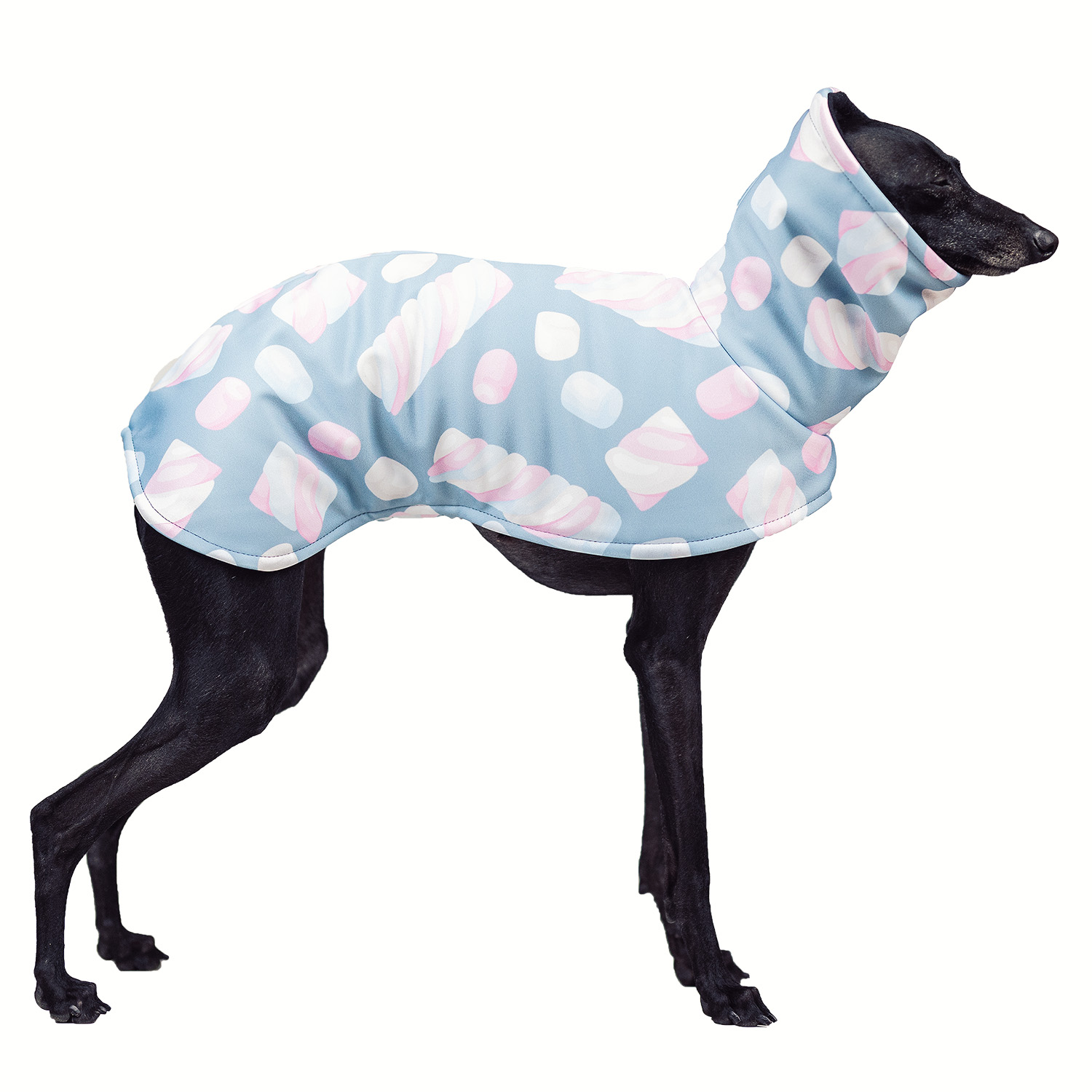 Italian greyhoundMARSHMALLOW Softshell® jacket - Wear.Chartbeat image 1