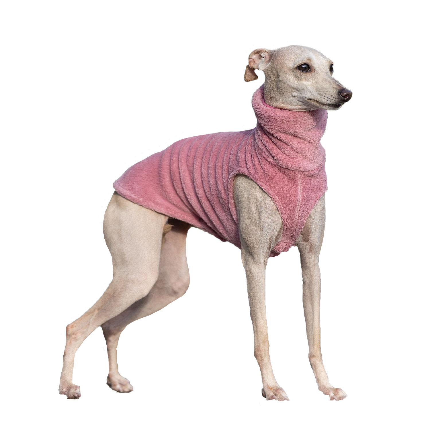 Italian greyhound clothing FLUFFY PINK - Wear.Chartbeat image 1