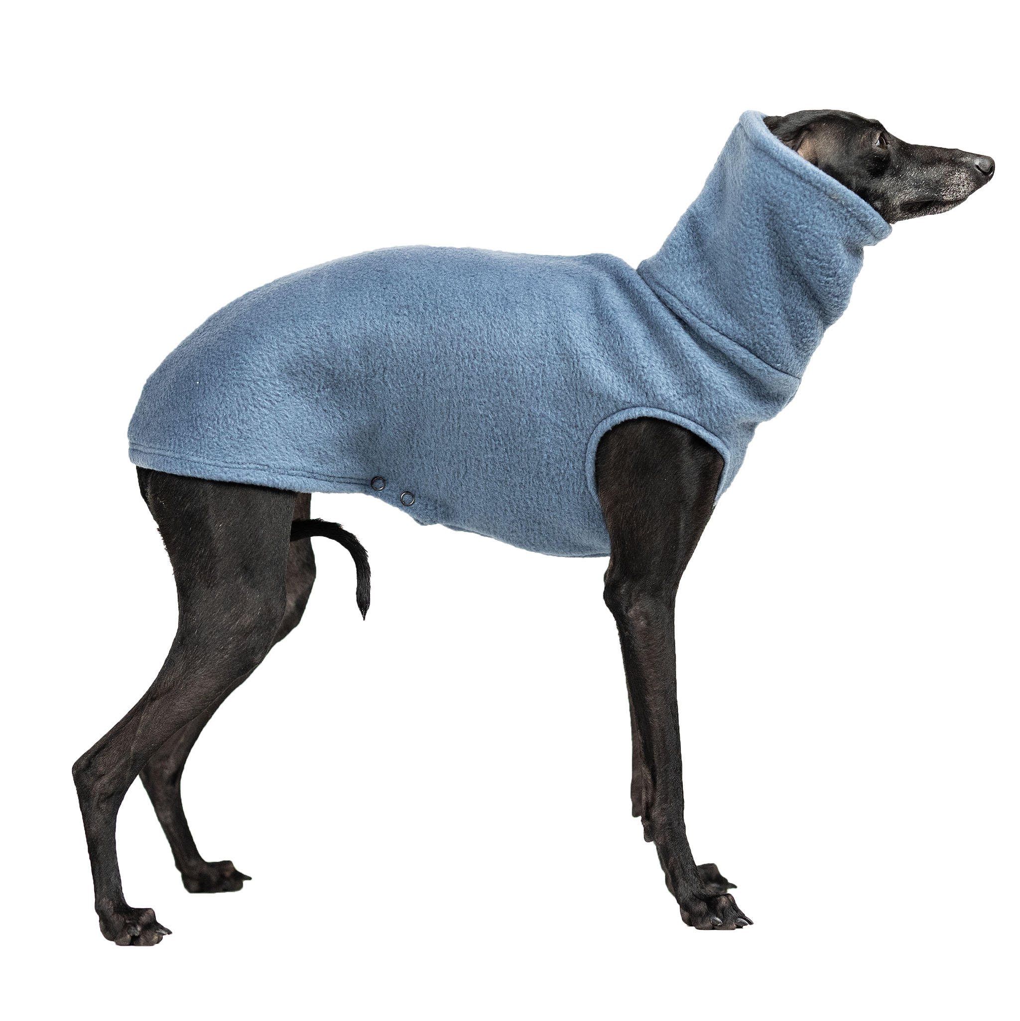 Italian greyhound clothing AUTUMN FLEECE BLUE - Wear.Chartbeat image 2
