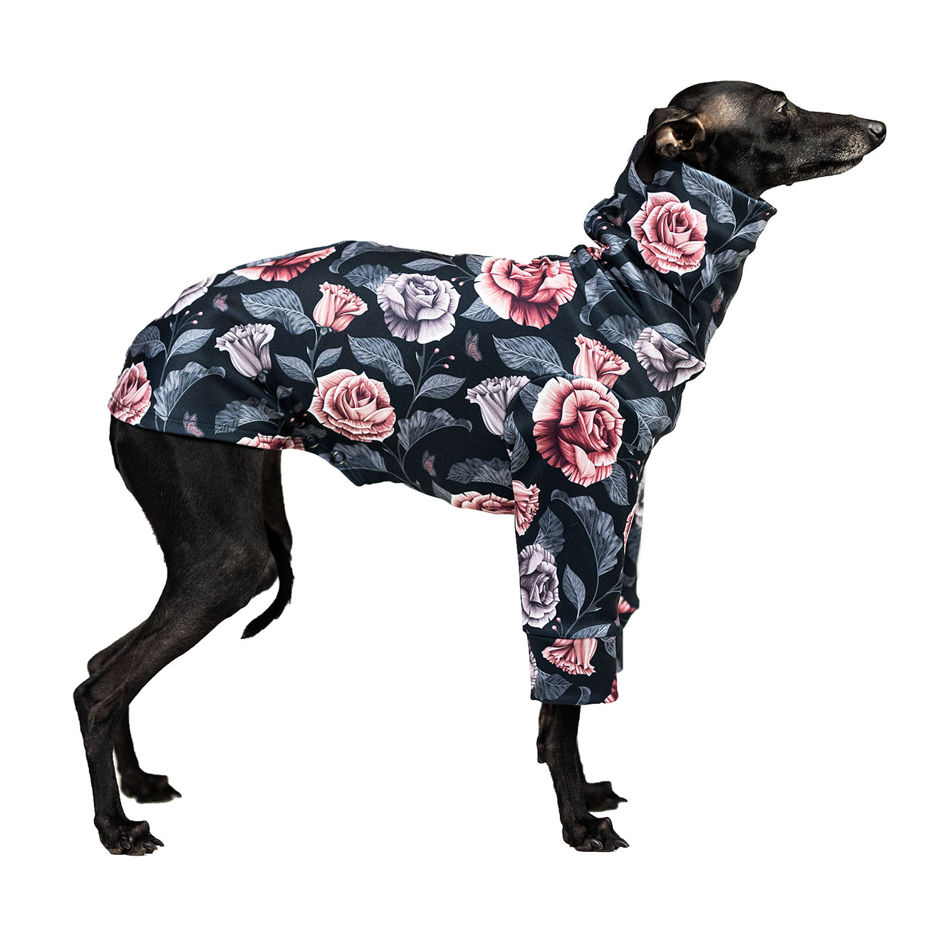 Italian greyhound clothing ROSE PASTEL - Wear.Chartbeat image 2