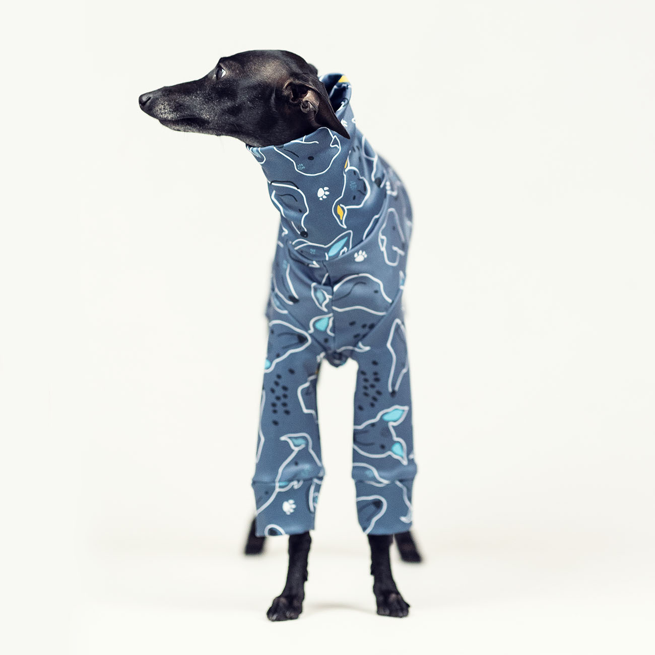 Italian greyhound clothing SIGHTHIE GREY - Wear.Chartbeat image 3