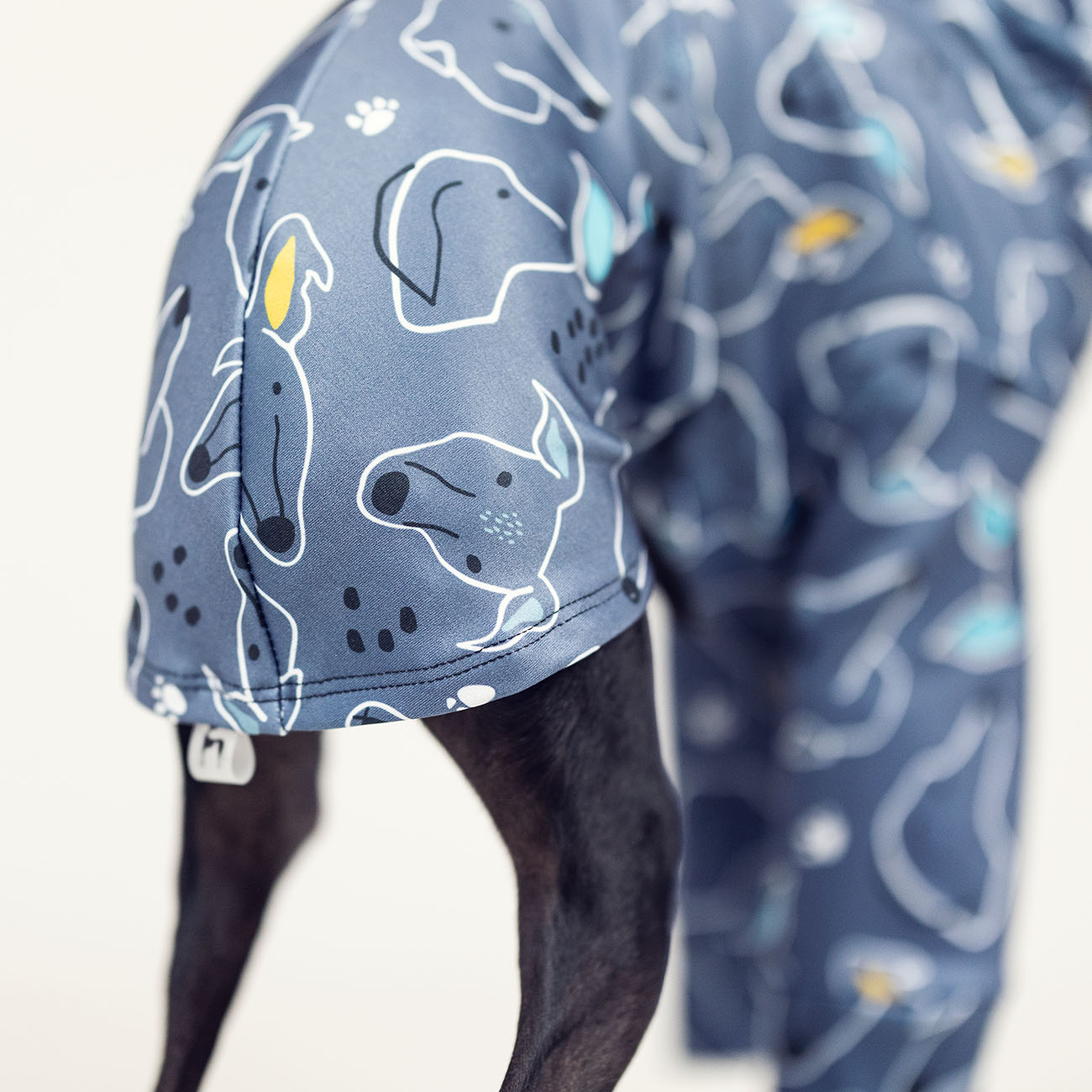 Italian greyhound clothing SIGHTHIE GREY - Wear.Chartbeat image 4