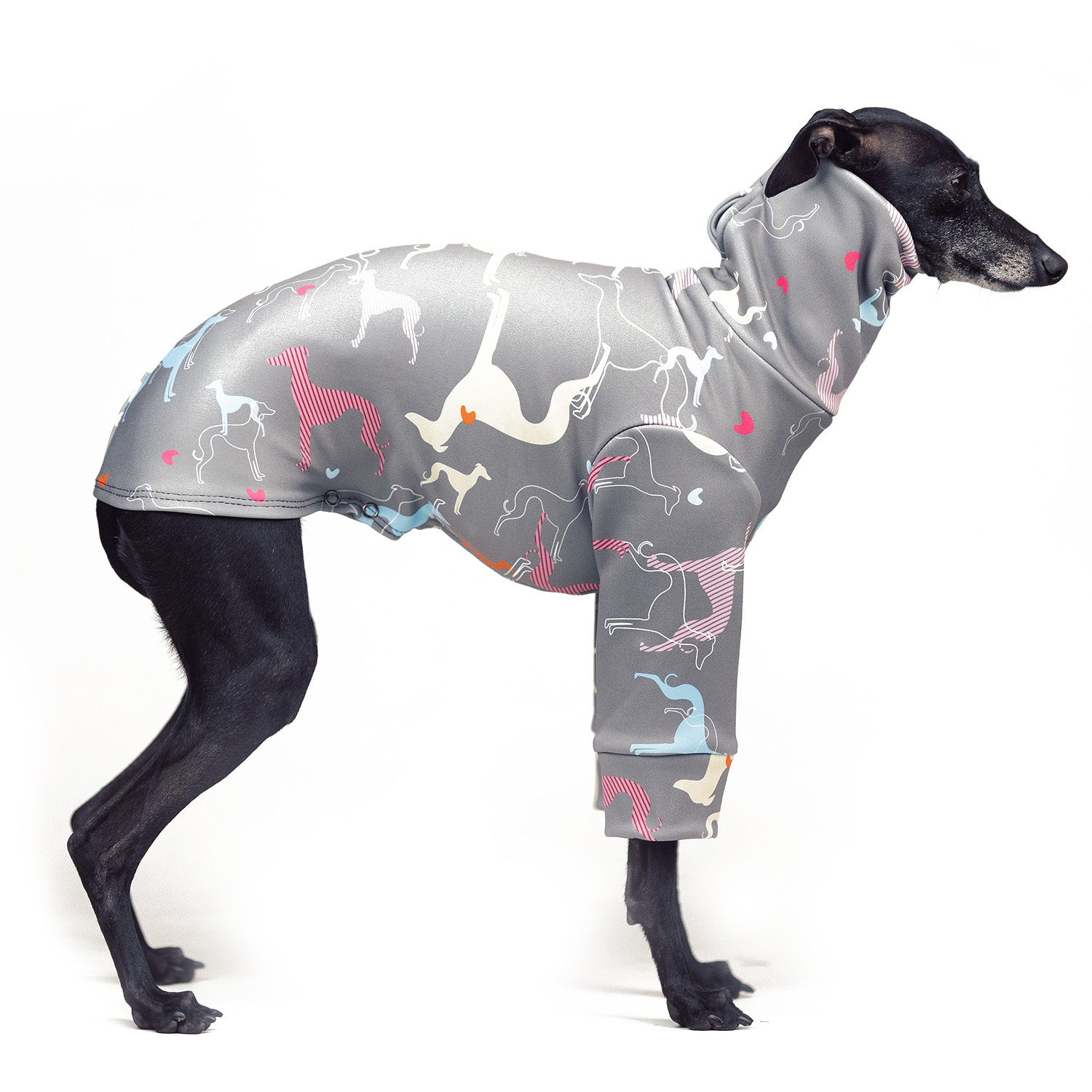Italian greyhound clothingIGGY OUTLINE Stretchmax® blouse - Wear.Chartbeat image 1