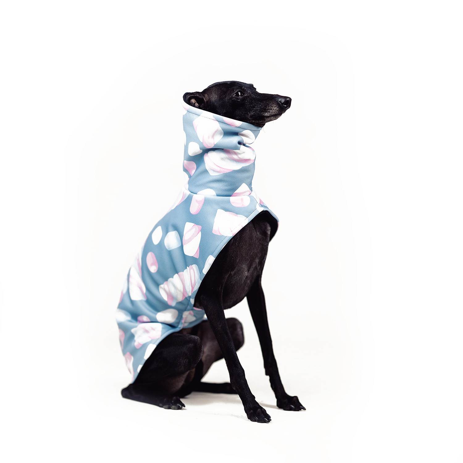 Italian greyhoundMARSHMALLOW Softshell® jacket - Wear.Chartbeat image 2