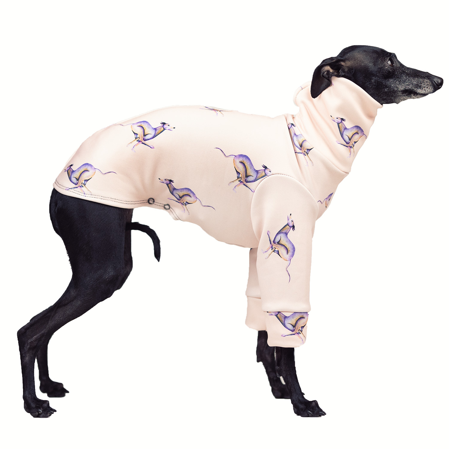 Italian greyhound clothing SPEEDIGGY Stretchmax® blouse - Wear.Chartbeat image 1