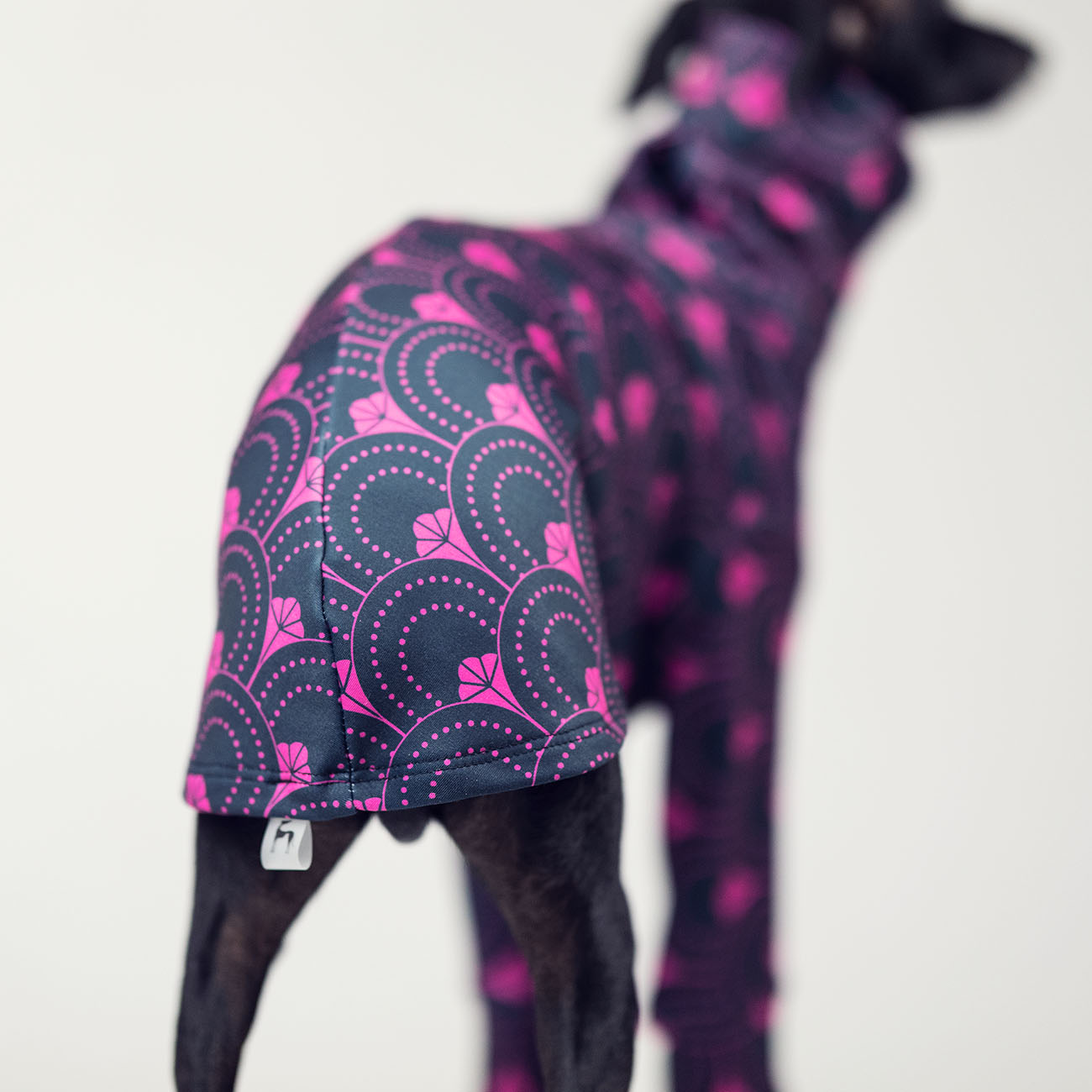 Italian greyhound clothing PINK GATSBY - Wear.Chartbeat image 4