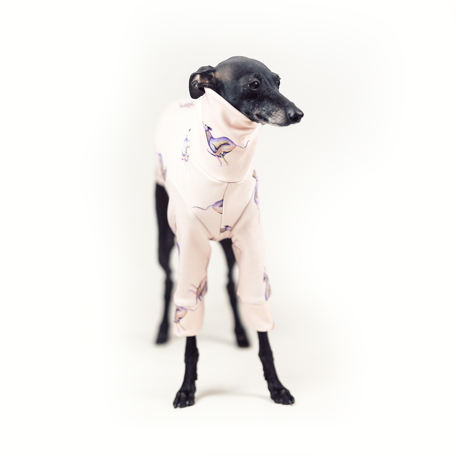 Italian greyhound clothing SPEEDIGGY Stretchmax® blouse - Wear.Chartbeat image 3
