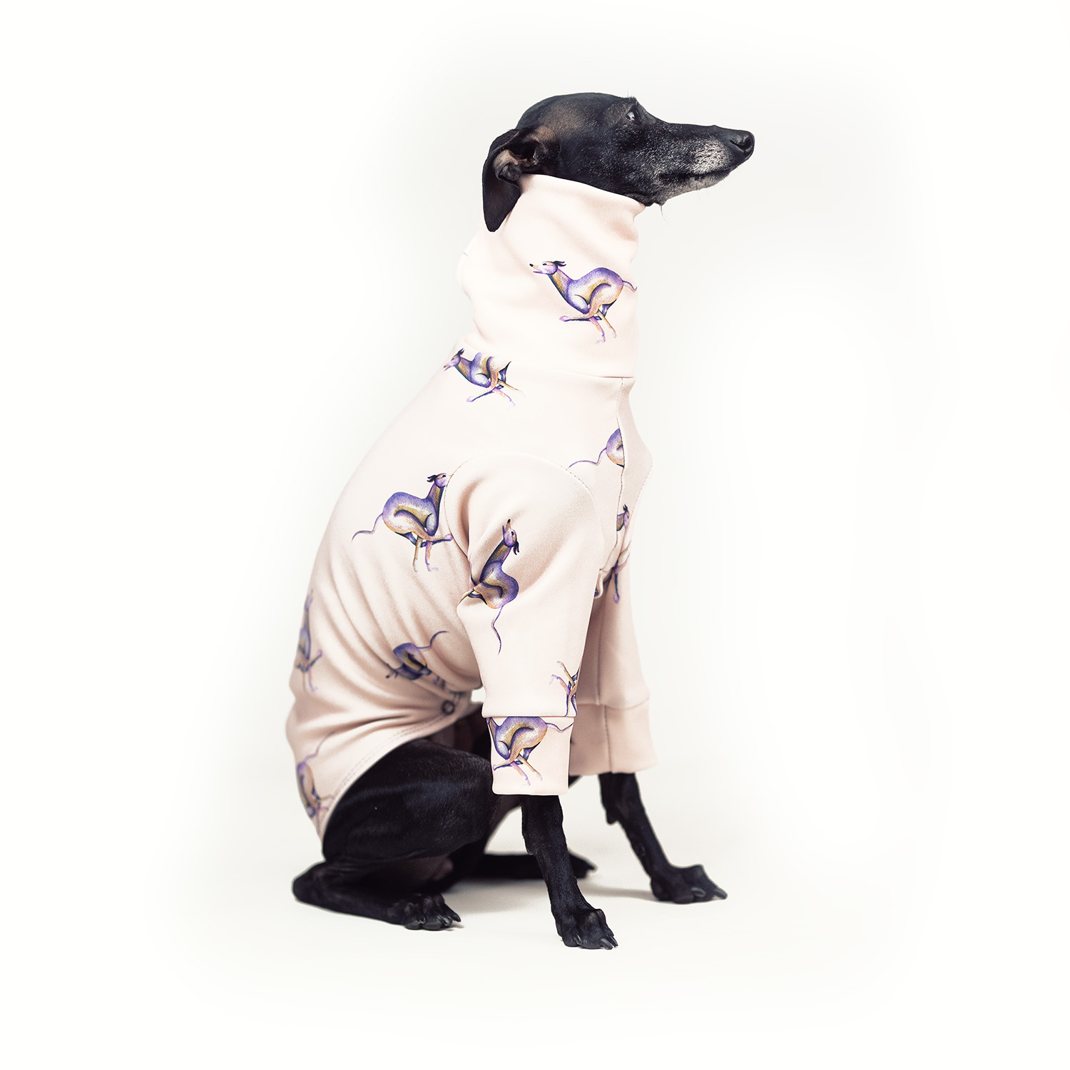 Italian greyhound clothing SPEEDIGGY Stretchmax® blouse - Wear.Chartbeat image 4