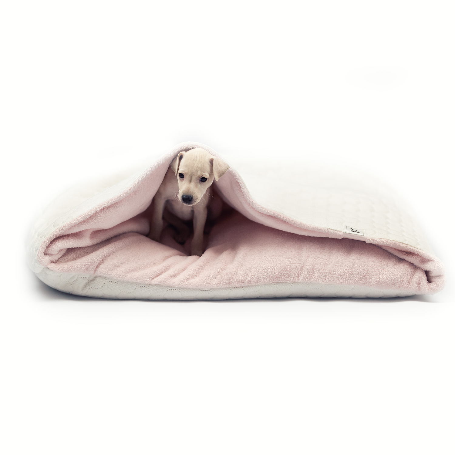 Iitalian greyhound bed Cream Pink soft - Sangue Azzurro image 1
