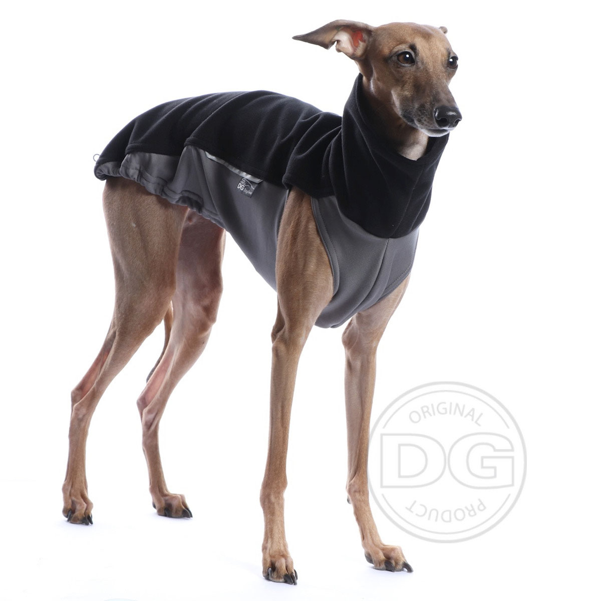 Italian greyhound jacket DG OUTDOOR TOP EXTREME - DGDogGear image 2