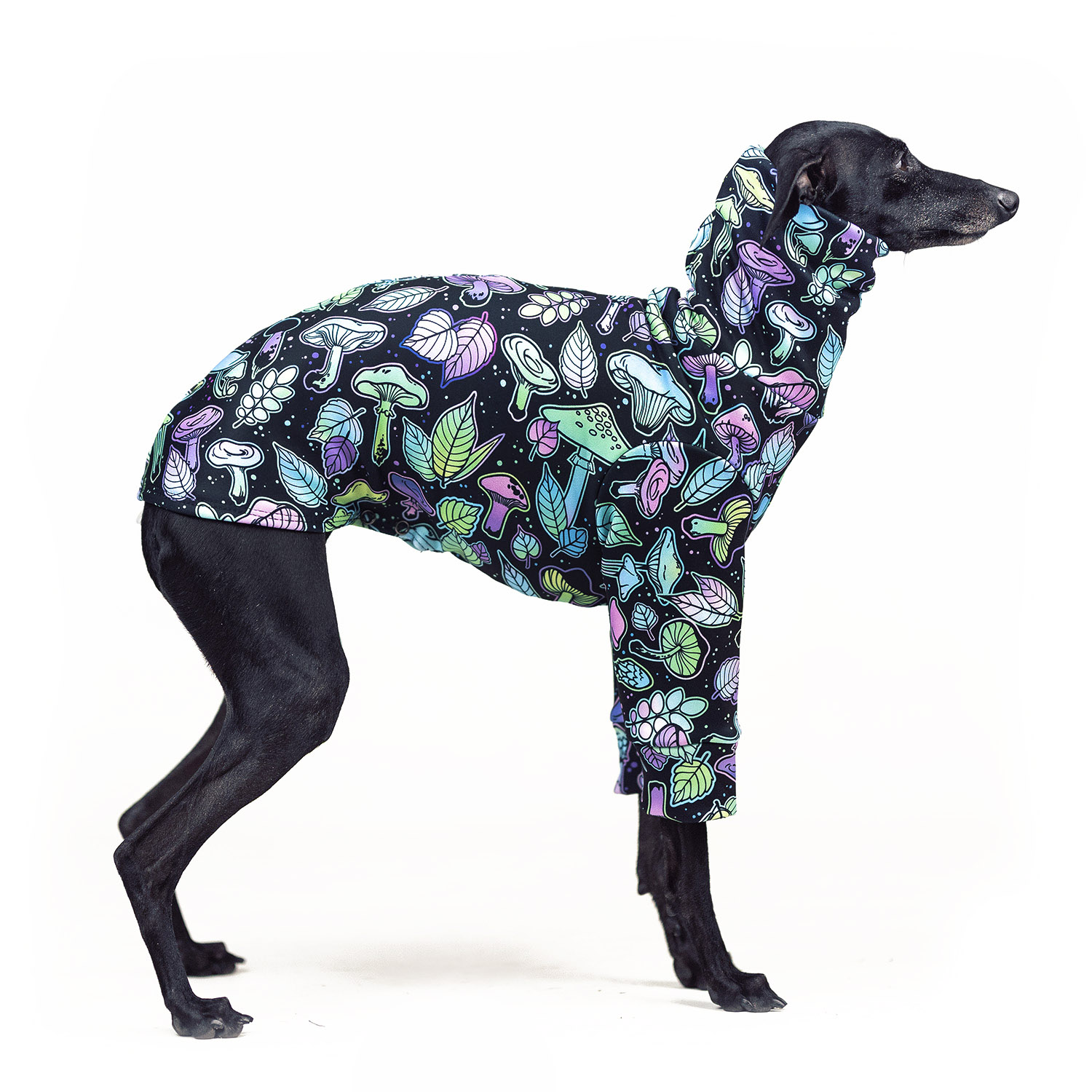 Italian greyhound clothing PSILOCYBIN Stretchmax® blouse - Wear.Chartbeat image 1