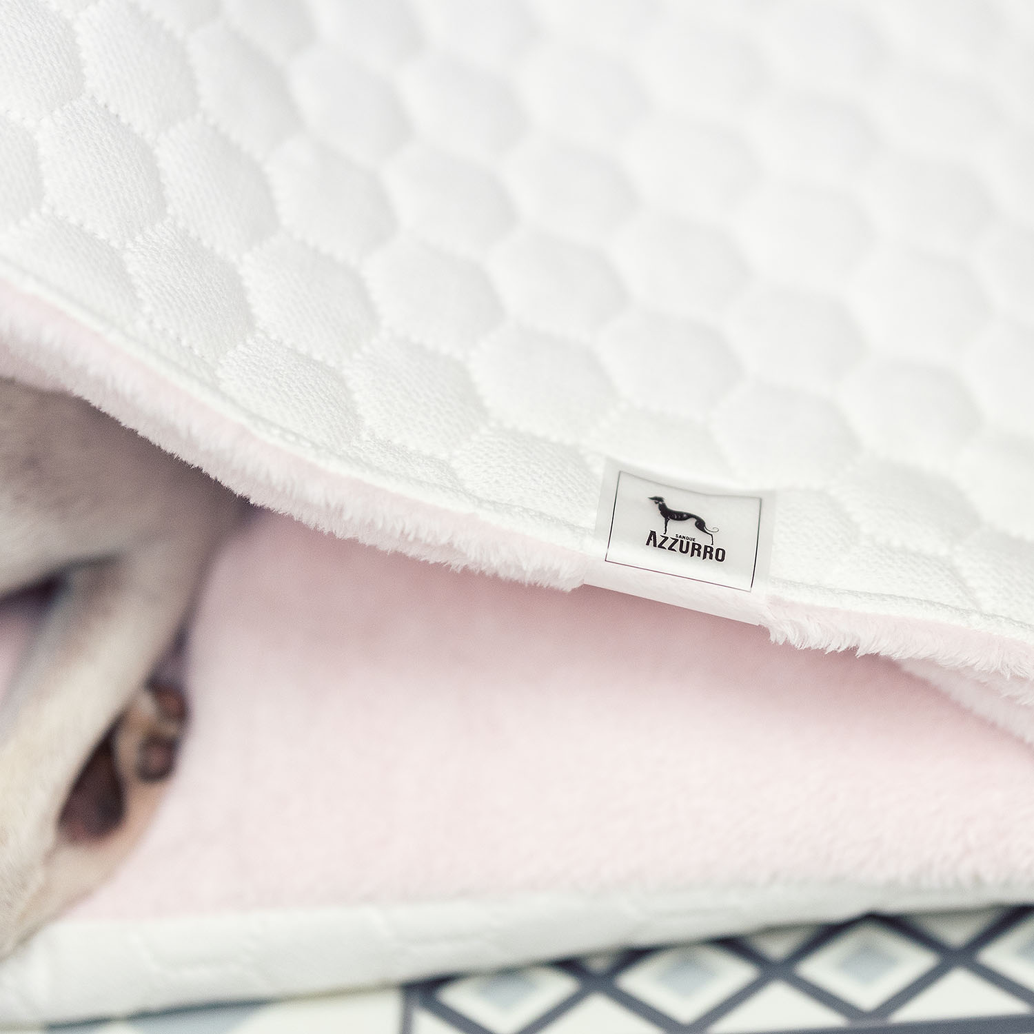 Iitalian greyhound bed Cream Pink soft - Sangue Azzurro image 3