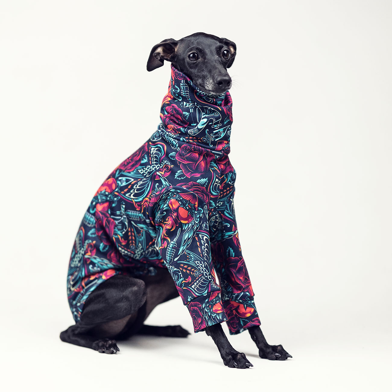 Italian greyhound clothing OLD SHOOL TATTOO - Wear.Chartbeat image 3
