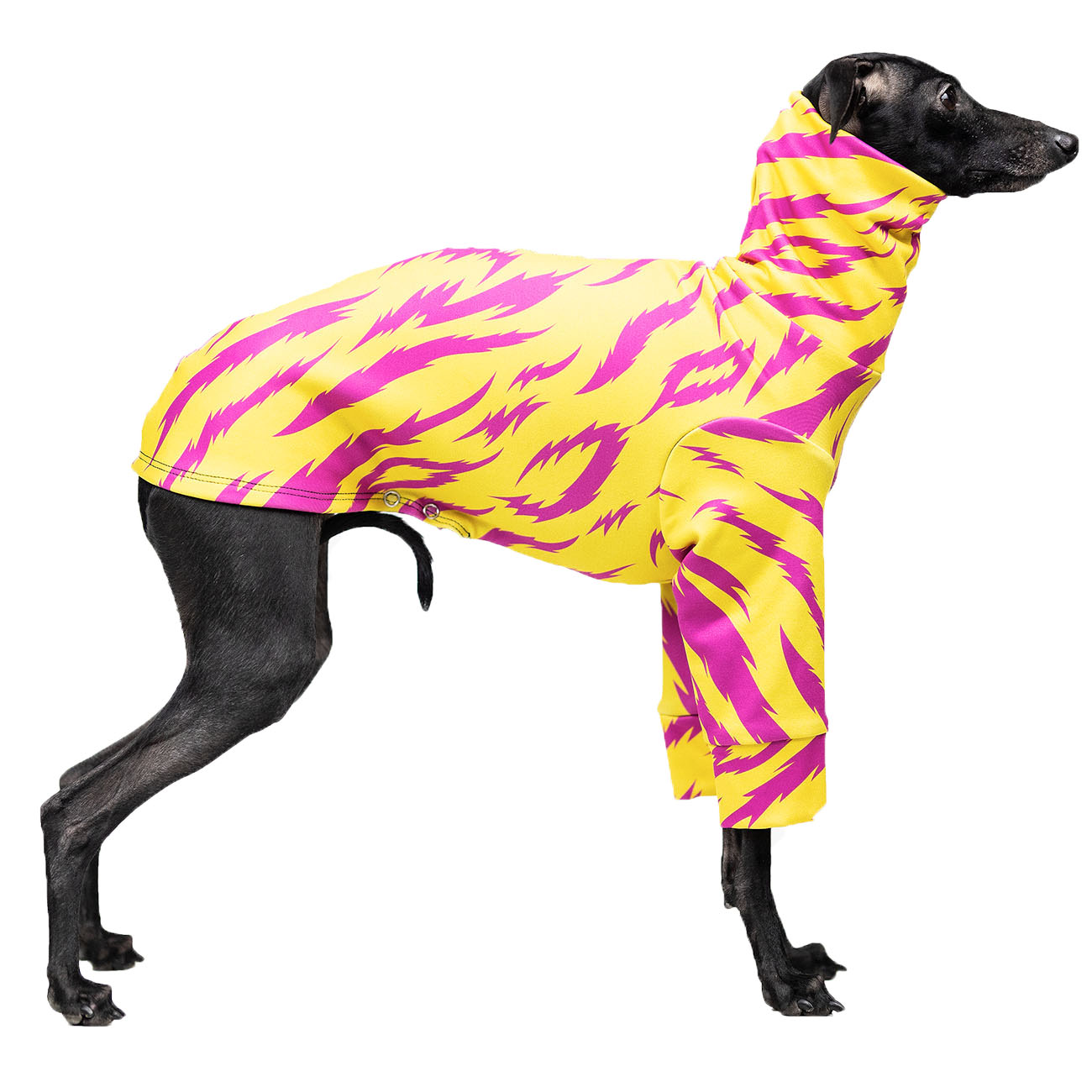 Italian greyhound clothing HYENA blouse - Wear.Chartbeat image 2