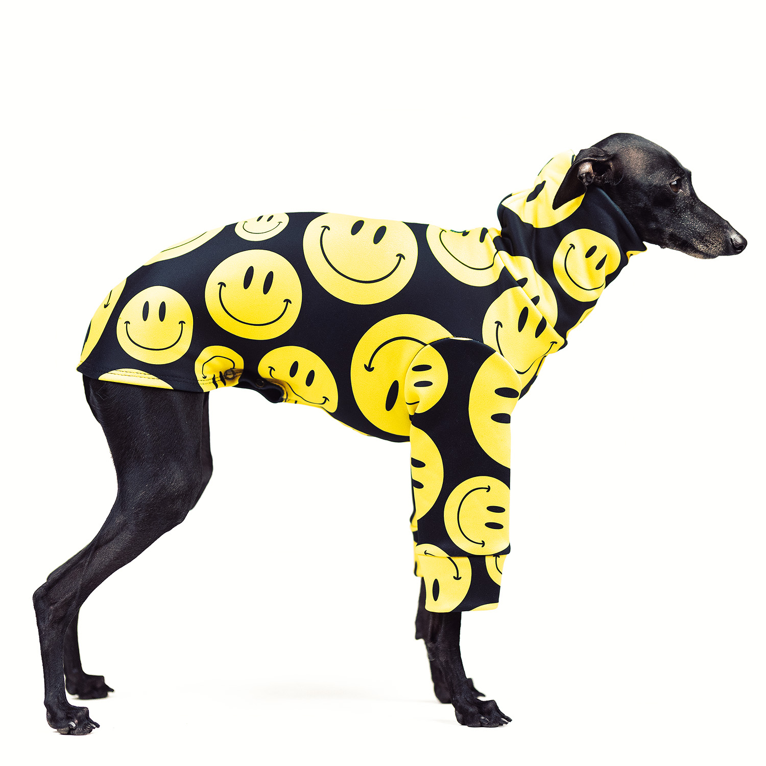 Italian greyhound clothing RAVER Stretchmax® blouse - Wear.Chartbeat image 1