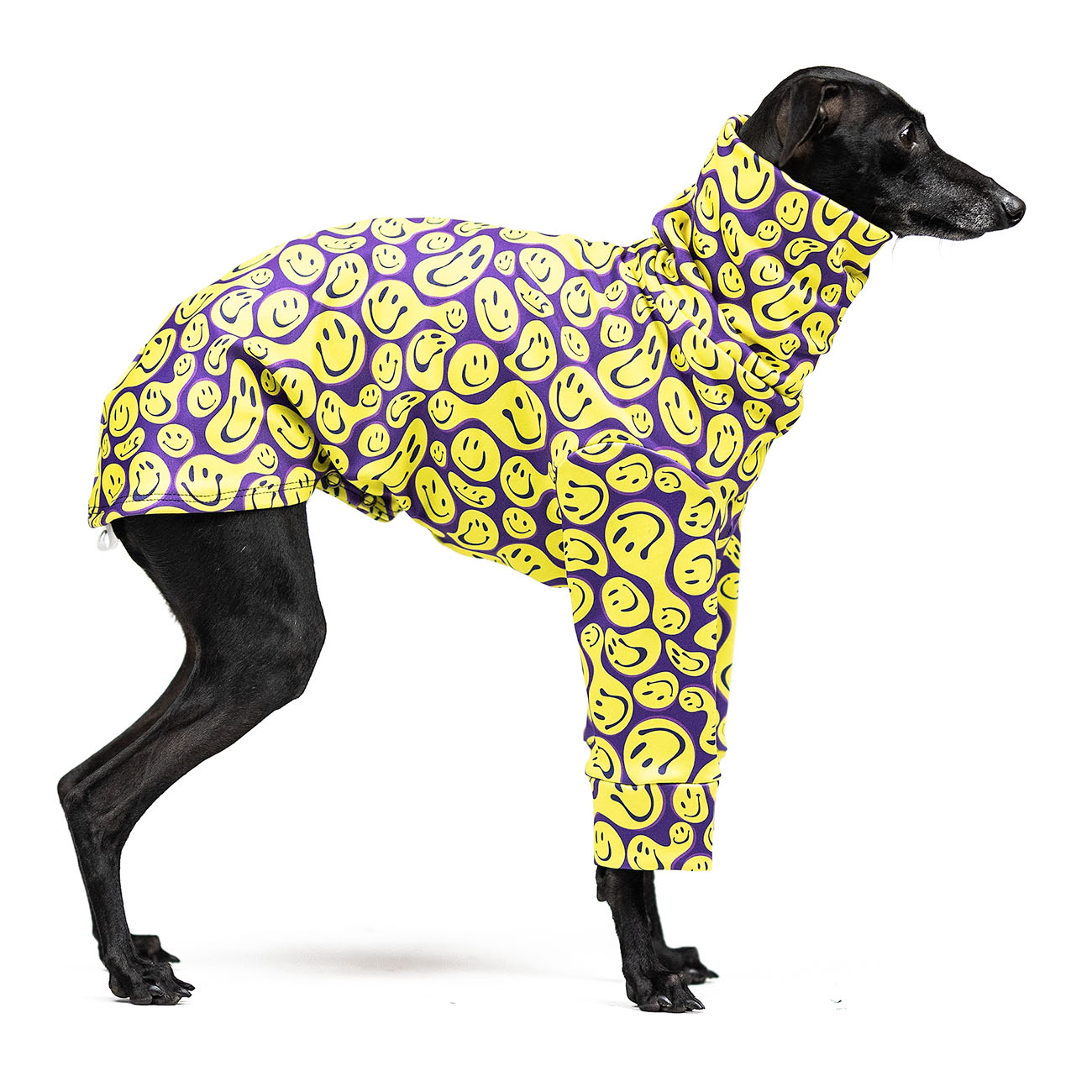 Italian greyhound clothing HAPPY HARDCORE - Wear.Chartbeat image 2