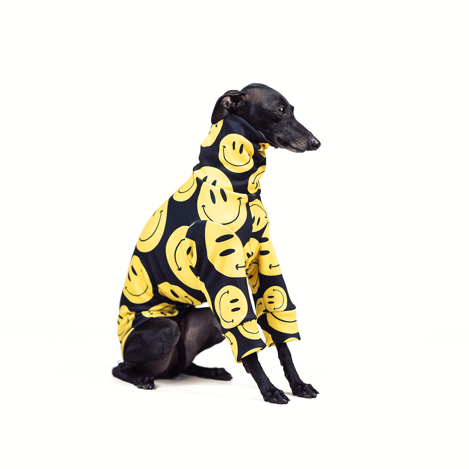 Italian greyhound clothing RAVER Stretchmax® blouse - Wear.Chartbeat image 2