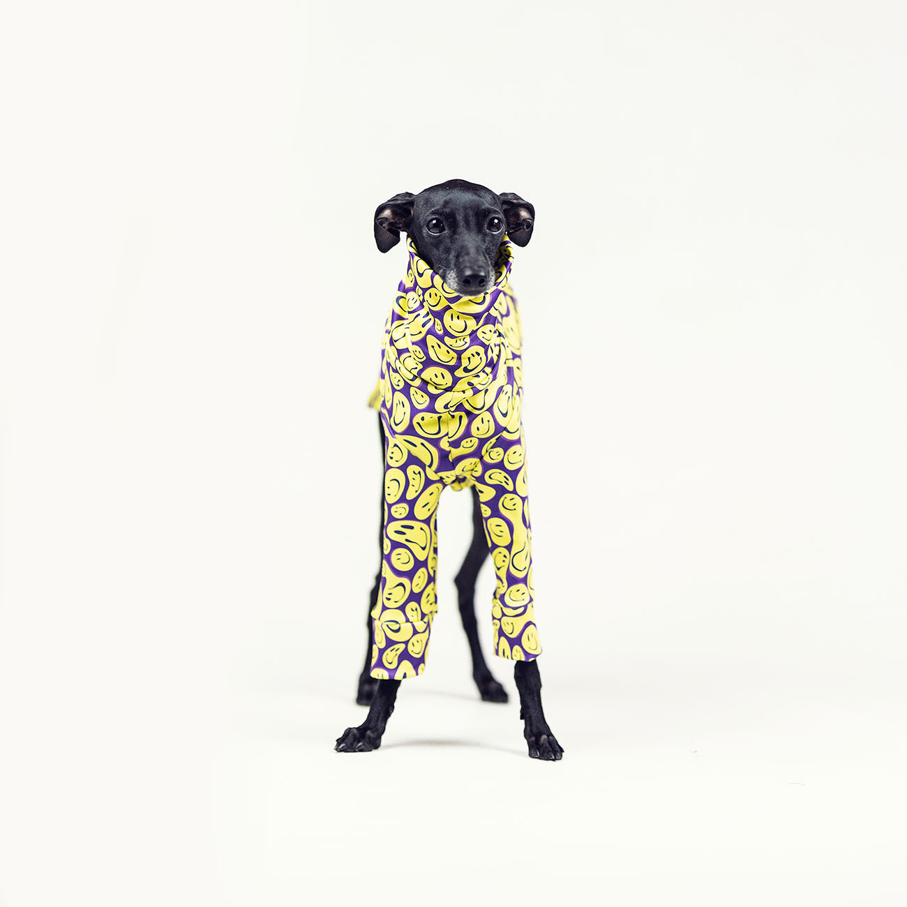 Italian greyhound clothing HAPPY HARDCORE - Wear.Chartbeat image 3