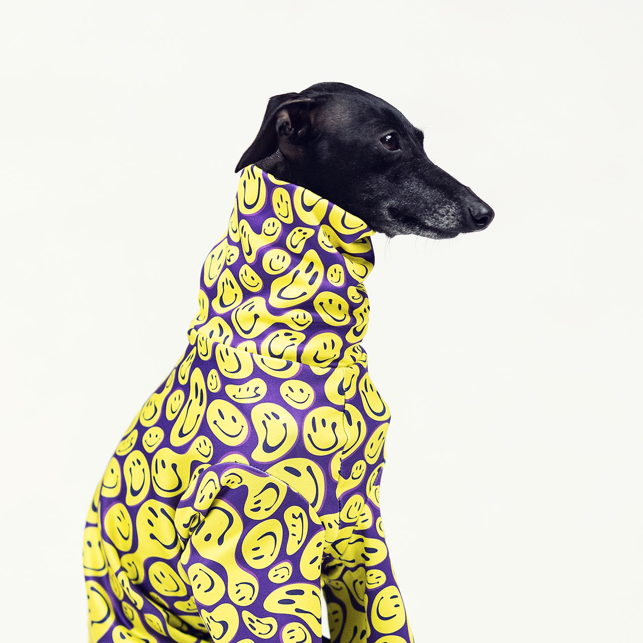 Italian greyhound clothing HAPPY HARDCORE - Wear.Chartbeat image 4