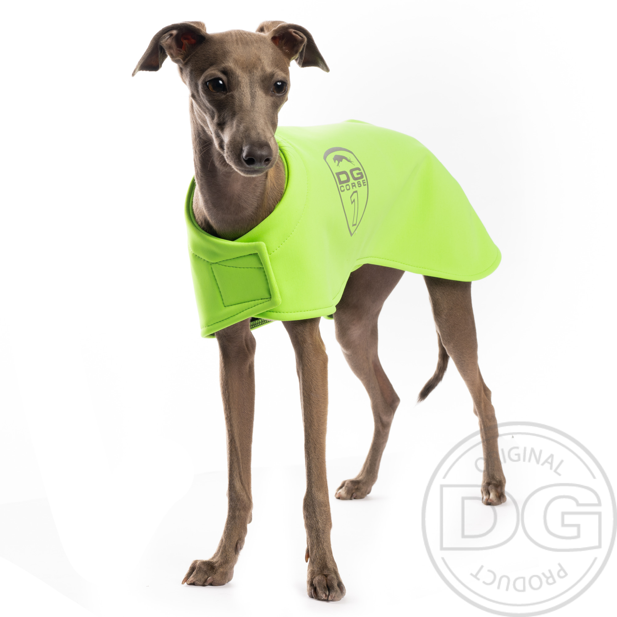 Italian greyhound clothing - DG BASIC BLANKET BLACK jacket - DG image 1