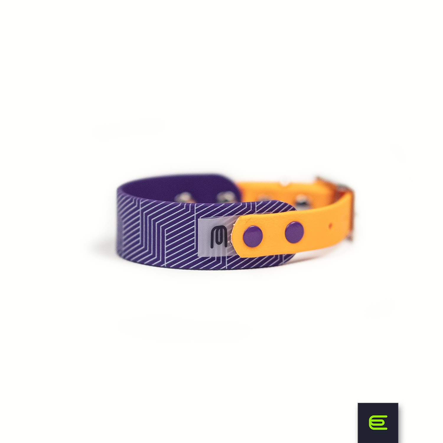 Italian greyhound collar EYESH Violet Orange - EYESH -for dog walks- image 1
