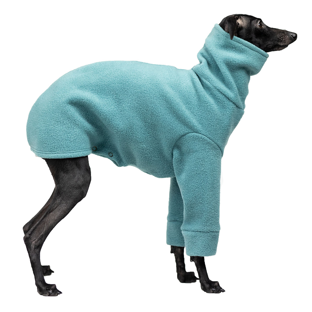 Italian greyhound clothing MINT FLEECE REVOLUTION - Wear.Chartbeat image 2