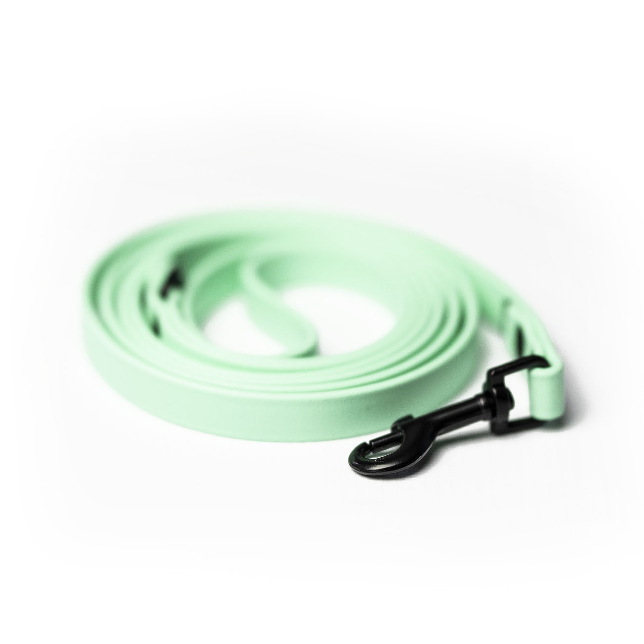 Italian greyhound leash Mint BioThane® - ACC image 1