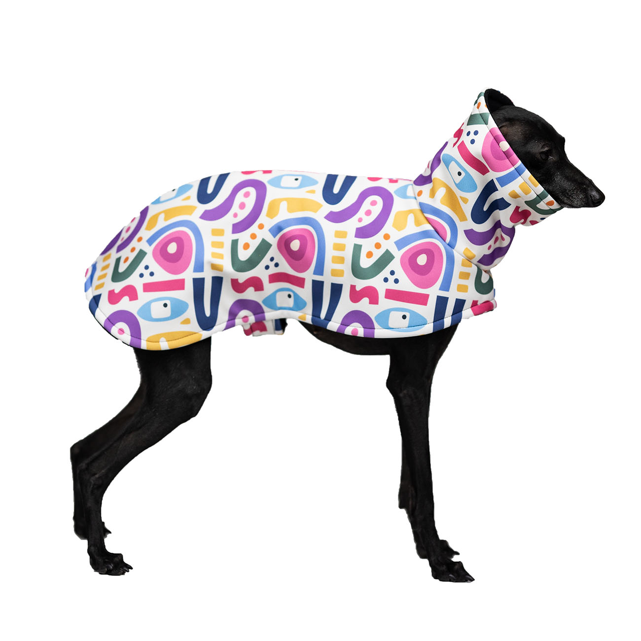 Italian greyhound YOUNG PICASSO Softshell® jacket - Wear.Chartbeat image 2